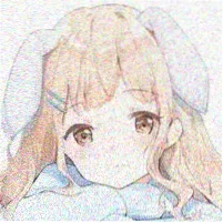 观众木棉的头像